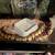 Butterball and yellow belly pastel ball python 3 thumbnail
