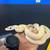 Beautiful snakes need homes!!! 6 thumbnail