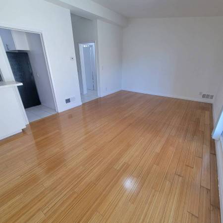 Spacious Studio Available-1326 N Flores 1