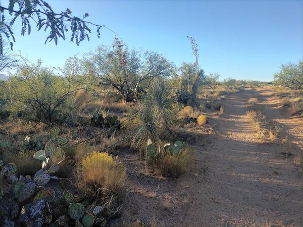 1.37 acres Diamond Bell Ranch, owner financing, low down! 1
