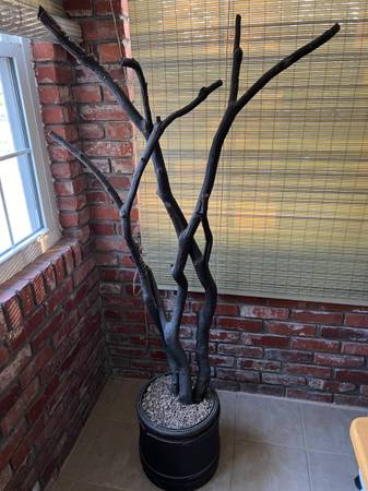 TREE 1