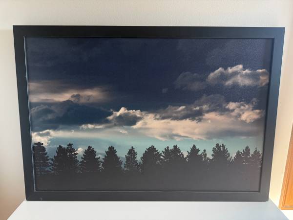 BLUE SKY, CLOUDS & PINE TREES PICTURE 1