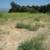 Two View Site Lots 5 thumbnail
