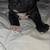 American Bulldog/Staffordshire Terrier for sale 3 thumbnail
