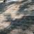 Small Roof Repair/ Leak Repair 9 thumbnail