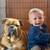 Olde English Bulldogge for rehoming 1 thumbnail