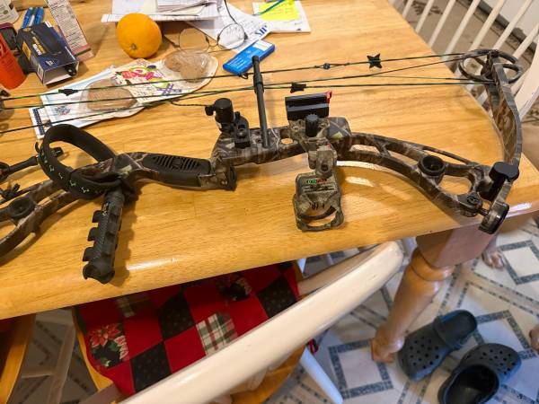 Martain compound bow 1