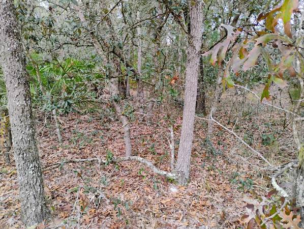 $7,500 / 10019ft2 - Nice Buildable lot in Interlachen (Interlachen)63823025878659124