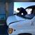 Car windows and windshield 3 thumbnail