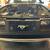 1984 FOX BODY FORD MUSTANG GT CONVERTIBLE 2 thumbnail