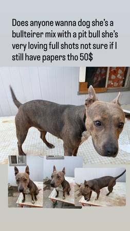 Almost 2 years need gone asap 50$ (Sacramento)63848981299203120