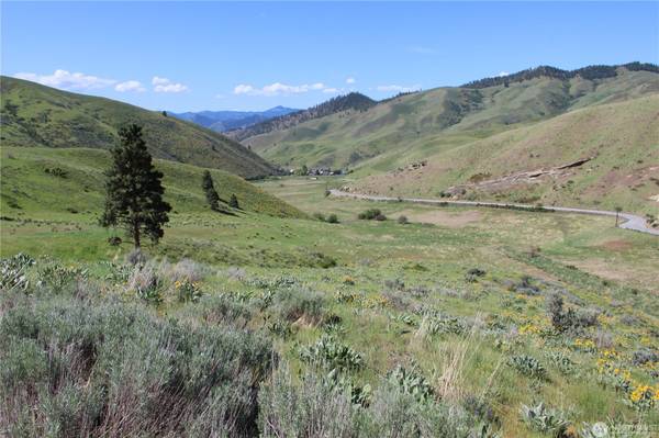 $255,000 Nahahum Canyon two 10 acre lots, shared well and driveway. (CASHMERE)63743441287939120