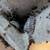 Pet Bug Care Classes 7 thumbnail