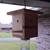 Proven Carpenter Bee Traps 2 thumbnail
