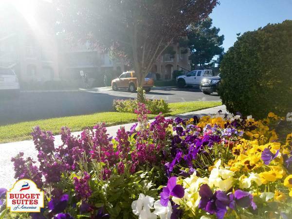 $289 / 1br - 400ft2 - All Bills Paid at Budget Suites! - $289 Weekly!* - 5289 St Hwy 121 (The Colony)63796376099715124
