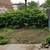 Huge 4 Bed Duplex in Bedstuy Rooms Starts $ $900 6 thumbnail