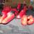 Kick boxing foot pads 7 thumbnail
