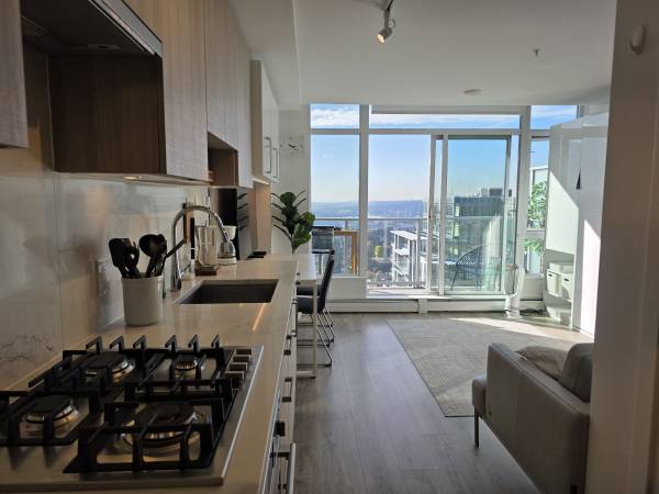 Furnished + Wifi + Utility 1