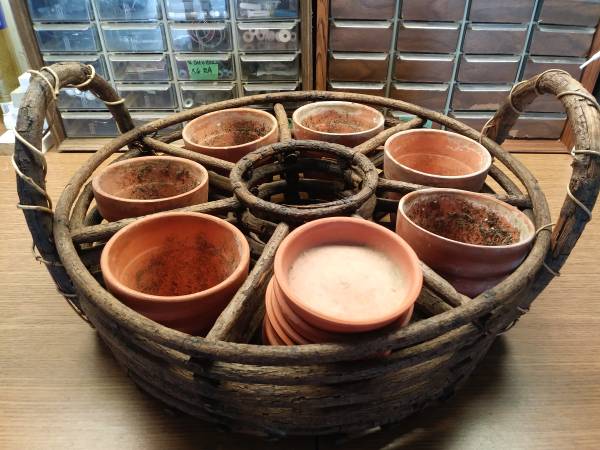 Pots & Branch Display 1