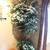 silk trees, boxes of silk flowers, silk plants in baskets, dry flowers 7 thumbnail