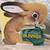 Bunny themed board books with plush 2 thumbnail