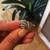 Sterling Silver Ring (Size 6) with marcasite Style  Excellent Conditio 3 thumbnail