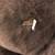 almost brand new Large Heritage Brown Teddy Bear 36 inch  Luxury Plush 2 thumbnail
