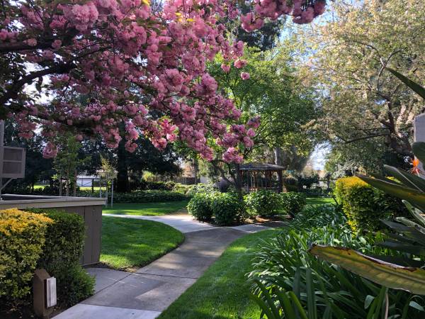 $2,395 / 2br - 880ft2 - GORGEOUS TWO BEDROOM/TWO BATH WITH NEW CARPET 🌺 (concord / pleasant hill / martinez)63994248960002120