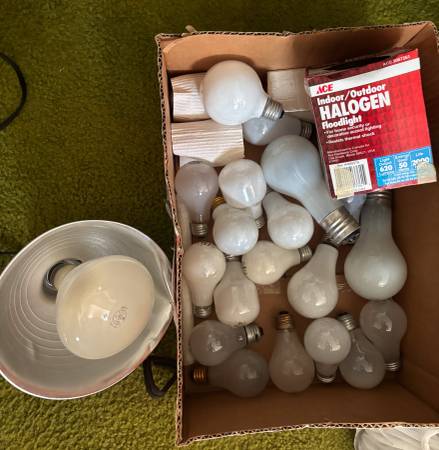 Clamp light and various lightbulbs 1