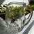 High End stunning Stuart Crystal Hampshire Pattern Decanter + Pitcher 3 thumbnail
