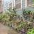 Small Top Floor Studio - Valencia @ 17/18th - 3 blocks Dolores Park 2 thumbnail