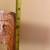 Small Child School Chair Solid Oak 2 thumbnail