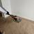 »»»Professional Carpet, Tile Cleaning & Water Extraction ☎ ««« (Memphi 11 thumbnail