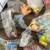 Vintage 2001  Mini Monster  Inc Toys  57 Pieces In Total 4 thumbnail
