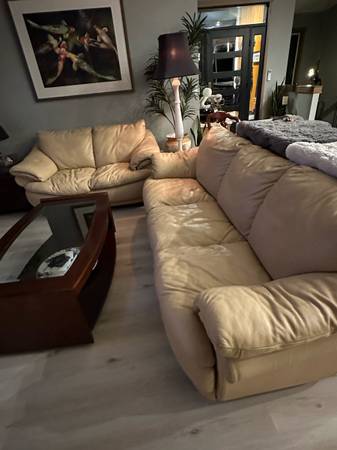 Leather Living room set 1