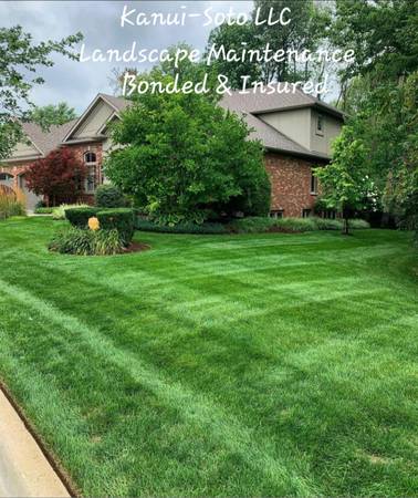 MESSY AND OVER GROWN YARD GET  FREE QUOTE TODAY 1