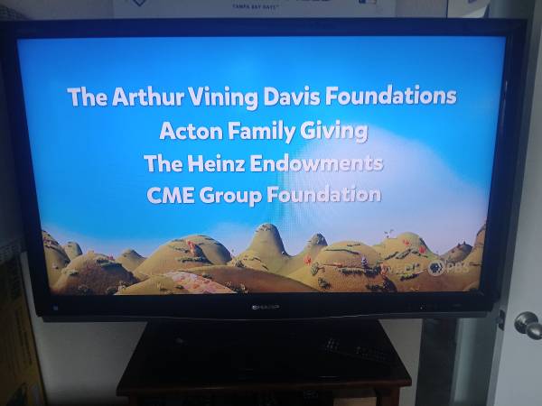 Sharp 45 inch TV with remote 1