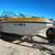 1977 Enterprise 17’ Runabout – Trailer Included 1 thumbnail
