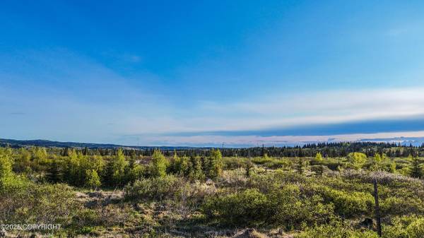 $14,200 Llittle slice of paradise! (Ninilchik)64163340242946124