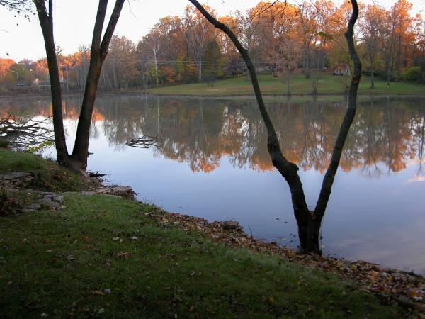 $825 / 1br - 357ft2 - Furnished room (bloomington)63953766651778122