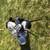 Assorted Golf Clubs, mainly woods/drivers & bag 2 thumbnail