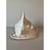 Queen Helmet Conch Shell 2 thumbnail