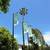 Resort-Style Living: Pool, Patio, Parking, Great Location, Call Now! 8 thumbnail