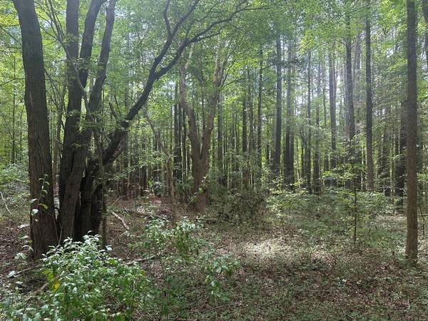 $63,900 10 Acres in Nathalie, VA (Hunting Creek Road)63851969194627124