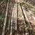 aluminum irrigation pipe 3" X 20FT 1 thumbnail