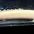 rare platinum ornate bichir fish 1 thumbnail