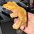 Crested geckos 1 thumbnail