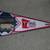 Minnesota Twins Picture Pennants 12 thumbnail