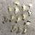LOT of 76 Neodymium Strong Rare Earth Hard Drive Magnets - Used 3 thumbnail