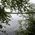 300 Feet of Frontage on Pardee Lake 1 thumbnail